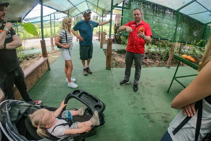 Coffee and Chocolate Tour in La Fortuna - Photo 1 of 9
